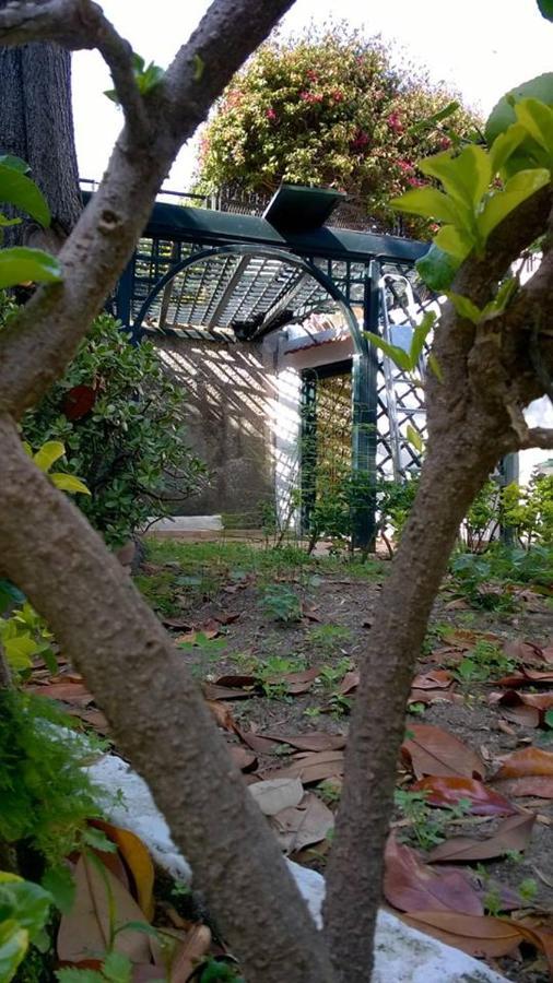 Villa Iscla Maison D'Hotes Ischia Zewnętrze zdjęcie
