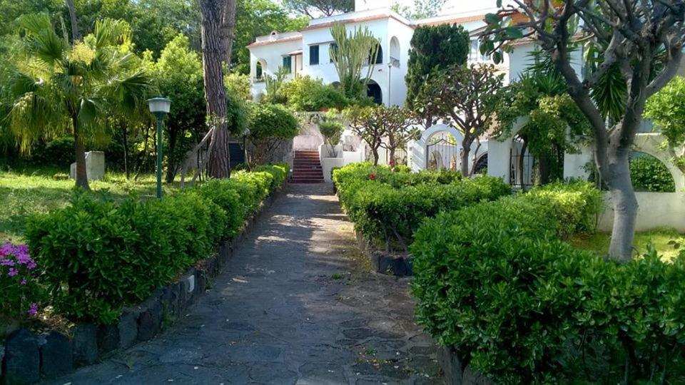 Villa Iscla Maison D'Hotes Ischia Zewnętrze zdjęcie